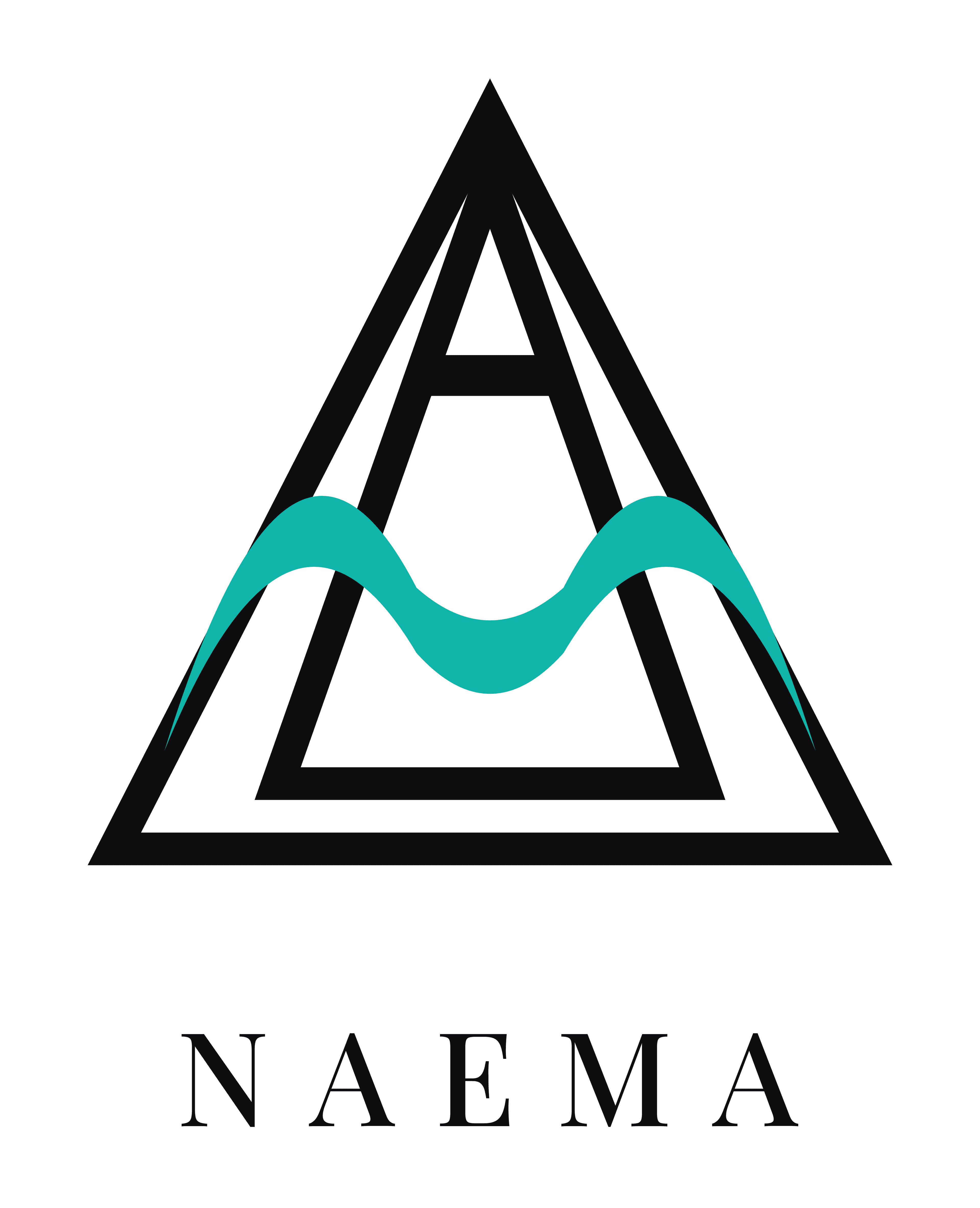 NAEMA Agency logo